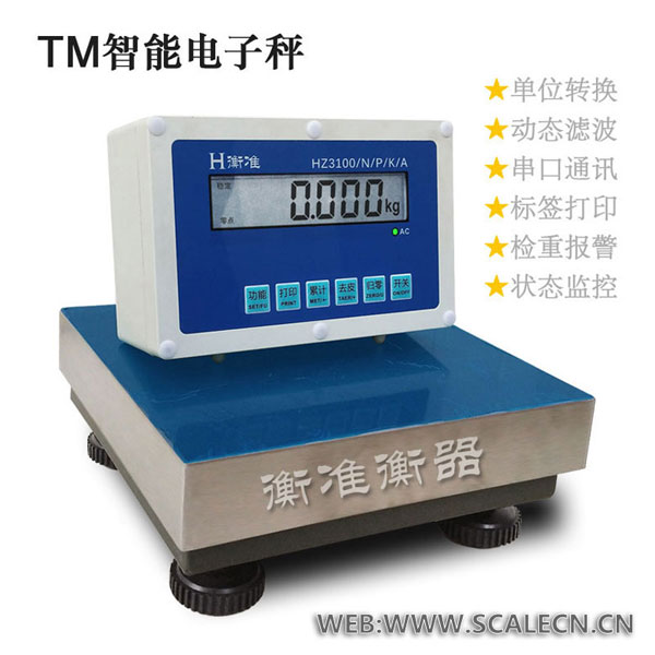 北京电子秤TM电子秤